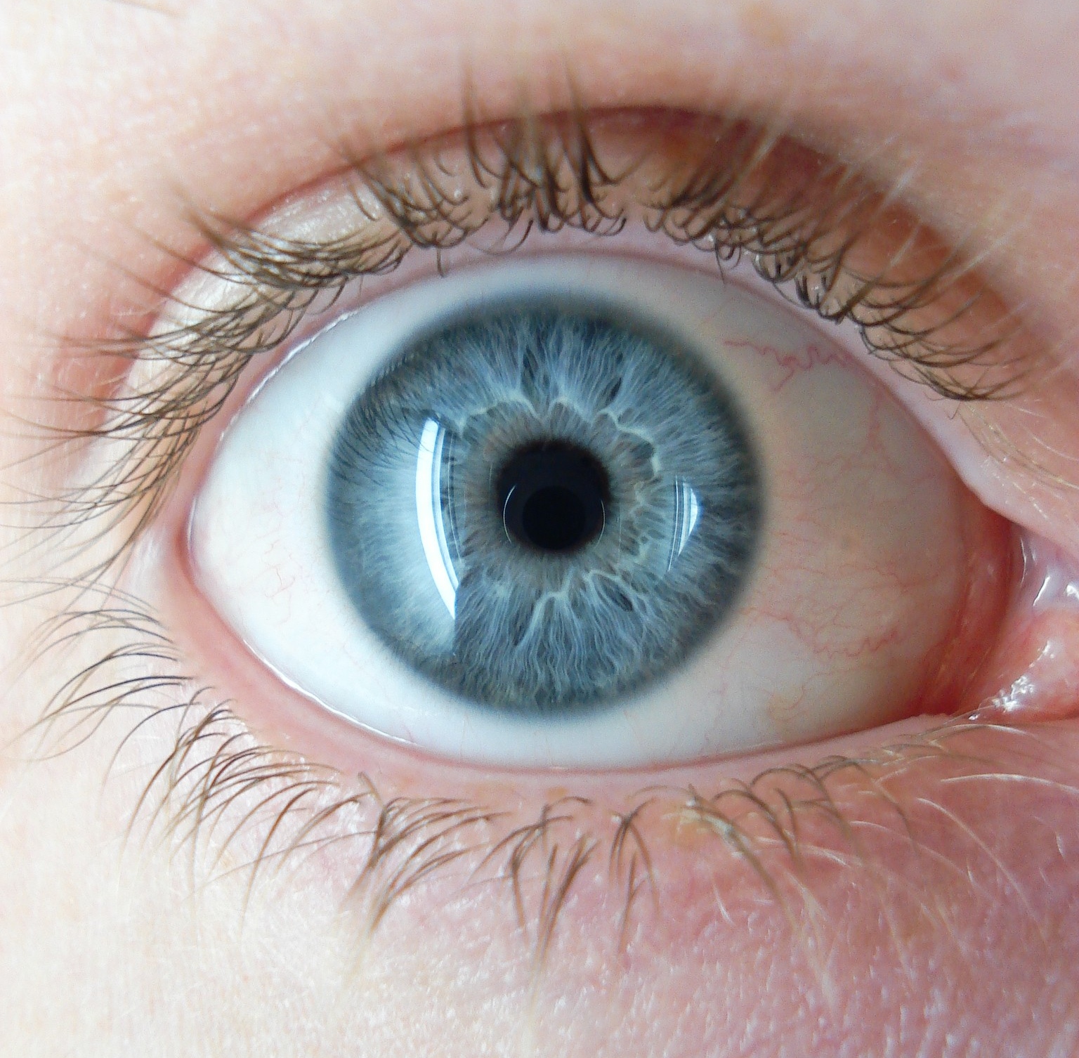 Read Insights about 7 Interesting Facts About Blue Eyes from Auckland Eye
